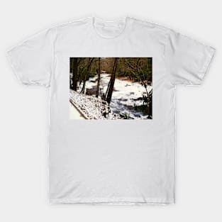 Winter River T-Shirt